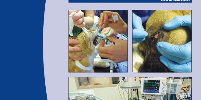 5 Minute Veterinary Consult Canine Feline Free Download