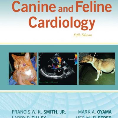 Small Animal Cardiology | VetBooks