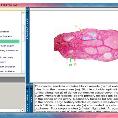 Dellmann's Textbook Of Veterinary Histology, 6th Edition (With CD ...