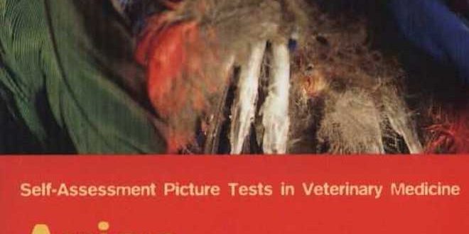 Avian Medicine Self Assessment Picture Tests In Veterinary Medicine Vetbooks 3660