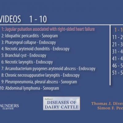 Rebhuns Diseases Of Dairy Cattle Rd Edition Vetbooks