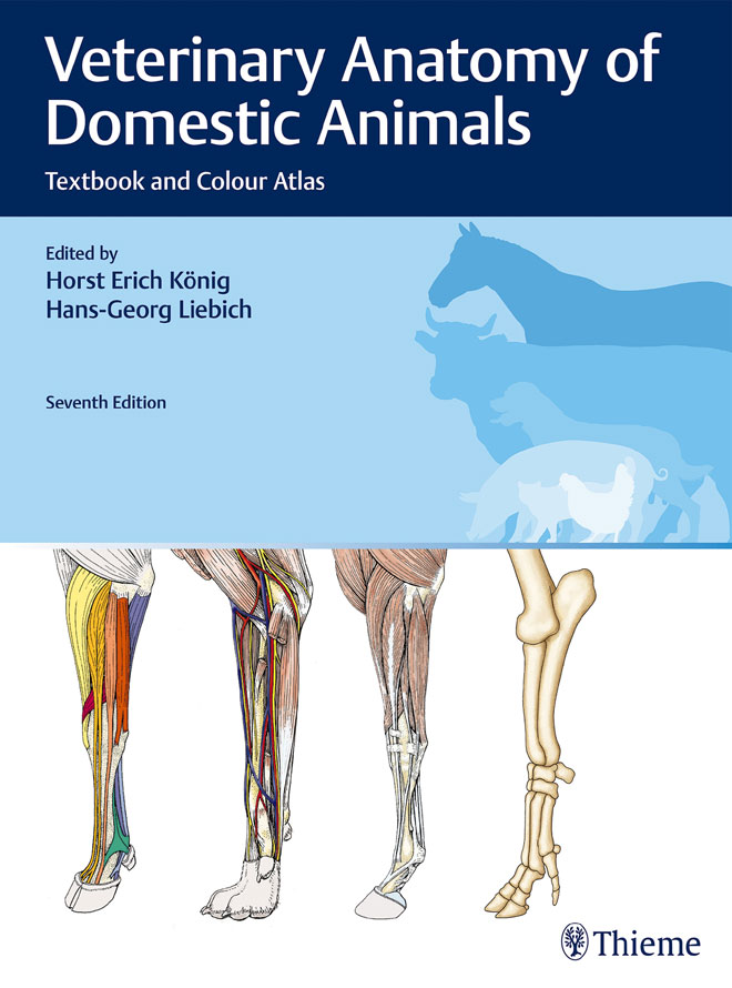 Veterinary Anatomy of Domestic Animals: Textbook and Colour Atlas, 7th  Edition | VetBooks