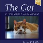 The-Cat,-Clinical-Medicine-and-Management,-2nd-Edition