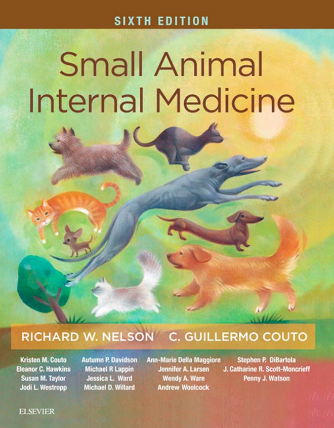 Small Animal Internal Medicine, 6th Edition | VetBooks