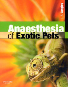 Anaesthesia-of-Exotic-Pets