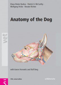Anatomy-of-the-Dog;-An-Illustrated-Text,-5th-Revised-Edition