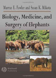 Biology-Medicine-and-Surgery-of-Elephants