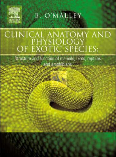 Clinical Anatomy and Physiology of Exotic Species | VetBooks