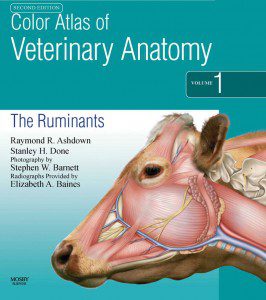 Color-Atlas-of-Veterinary-Anatomy-Volume-1---The-Ruminants