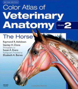 Color-Atlas-of-Veterinary-Anatomy-Volume-2---The-Horse,-2nd-Edition