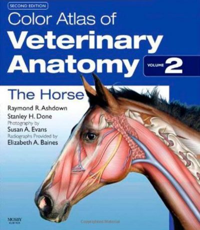 Essential Equine Studies: Anatomy and Physiology: Book One: 9780851318936:  Medicine & Health Science Books @