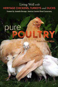 Pure-Poultry-Living-Well-with-Heritage-Chickens-Turkeys-and-Ducks-1st-Edition