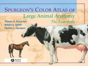 Spurgeon's-Color-Atlas-of-Large-Animal-Anatomy-The-Essentials