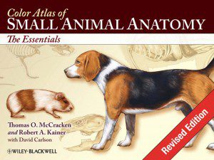 Color Atlas of Small Animal Anatomy: The Essentials, Revised Edition