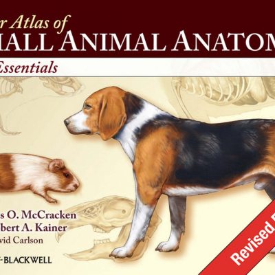 Animal Anatomy for Artists, The Elements of Form | VetBooks
