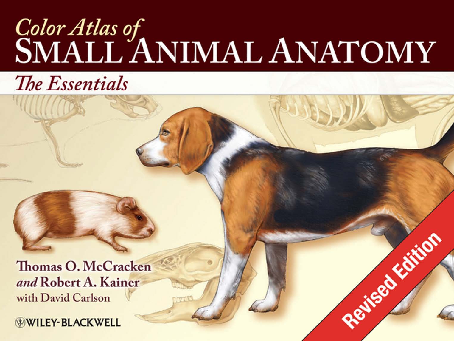 Color Atlas of Small Animal Anatomy: The Essentials, Revised Edition |  VetBooks