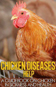 Chicken-Diseases-Help,-A-Quick-Guidebook-on-Chicken-in-Sickness-and-Health