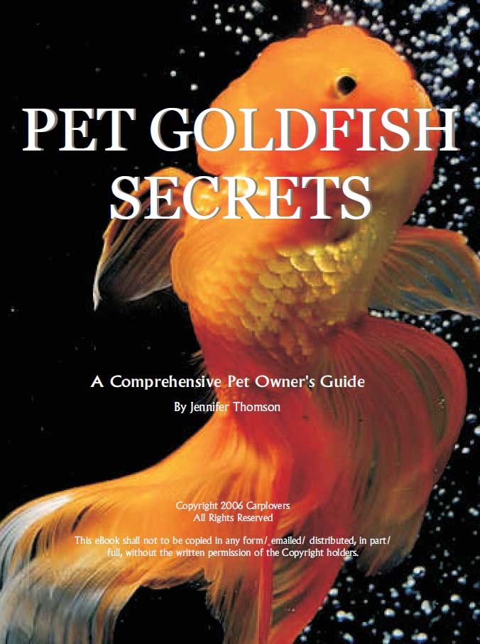 Pet Goldfish Secrets Jennifer Thomson, PDF, Aquarium