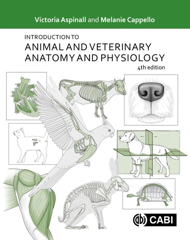 Introduction to Animal and Veterinary Anatomy and Physiology, 4th Edition |  VetBooks