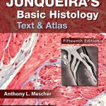 Junqueira’s-Basic-Histology,-Text-and-Atlas,-15th-Edition