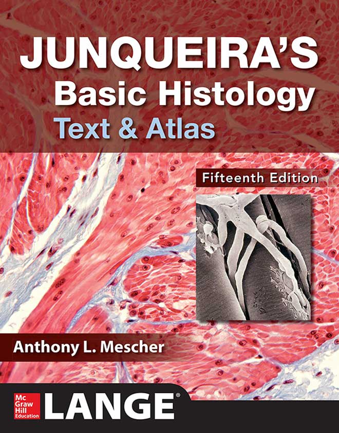 Junqueira's Basic Histology: Text and Atlas, 15th Edition | VetBooks