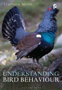Understanding-Bird-Behaviour
