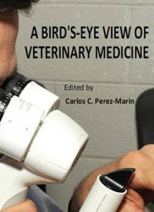 a-birds-eye-view-of-veterinary-medicine