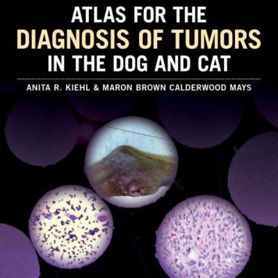 Tumors in Domestic Animals, 5th Edition | VetBooks