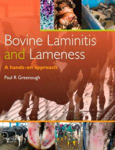 bovine-laminitis-and-lameness-a-hands-on-approach