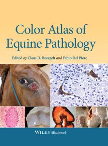 color-atlas-of-equine-pathology
