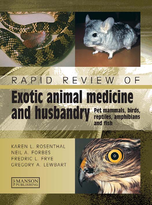 Rapid Review of Exotic Animal Medicine and Husbandry | VetBooks