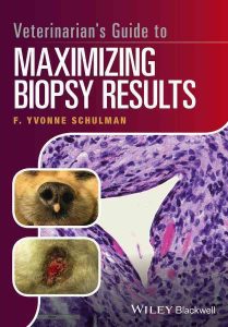 veterinarians-guide-to-maximizing-biopsy-results