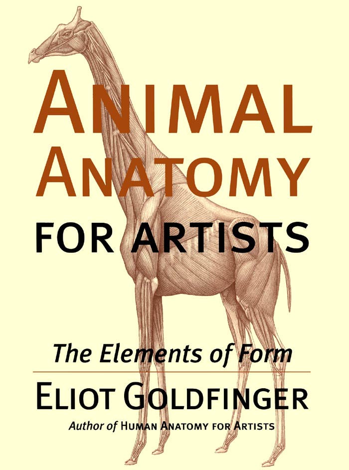 Animal Anatomy for Artists, The Elements of Form | VetBooks