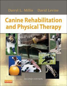 canine-rehabilitation-and-physical-therapy
