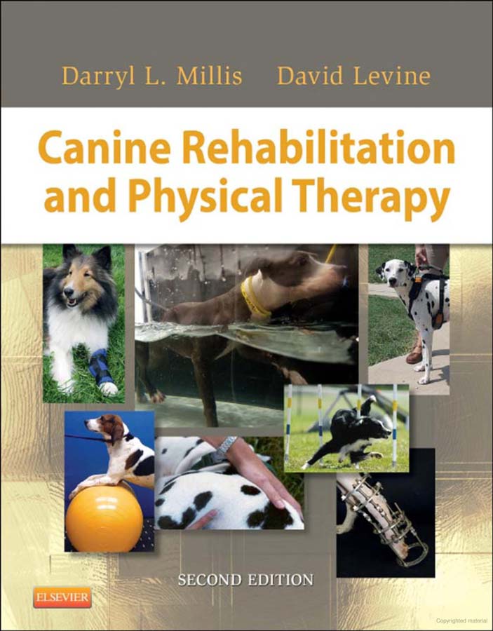 Canine Rehabilitation and Physical Therapy, 2nd Edition | VetBooks