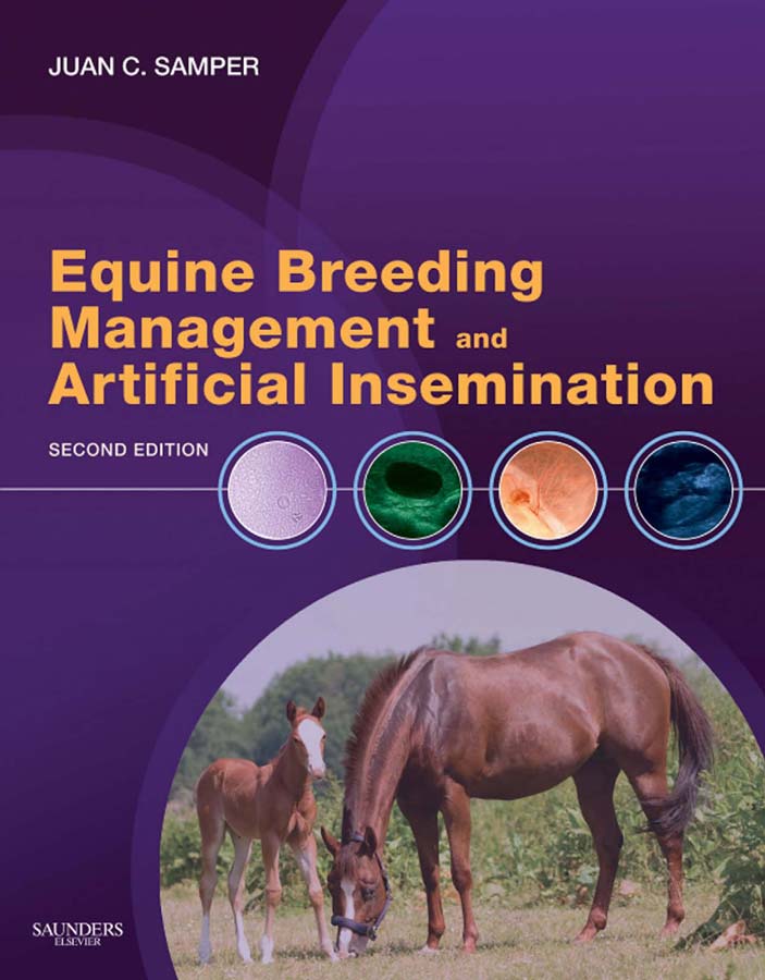 Equine Breeding Management and Artificial Insemination, 2nd Edition |  VetBooks