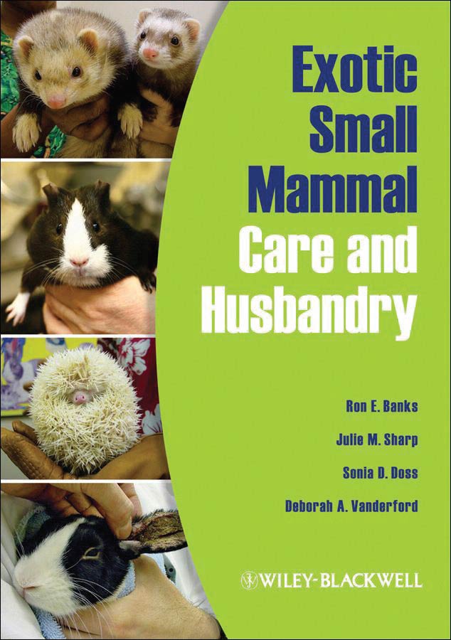 Exotic Small Mammal Care and Husbandry | VetBooks