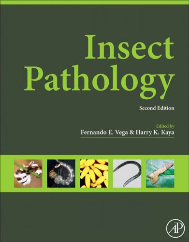 Insect Pathology, 2nd Edition | VetBooks