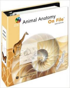 animal-anatomy-on-file