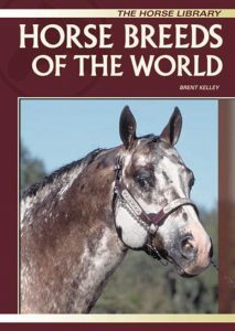 horse-breeds-of-the-world