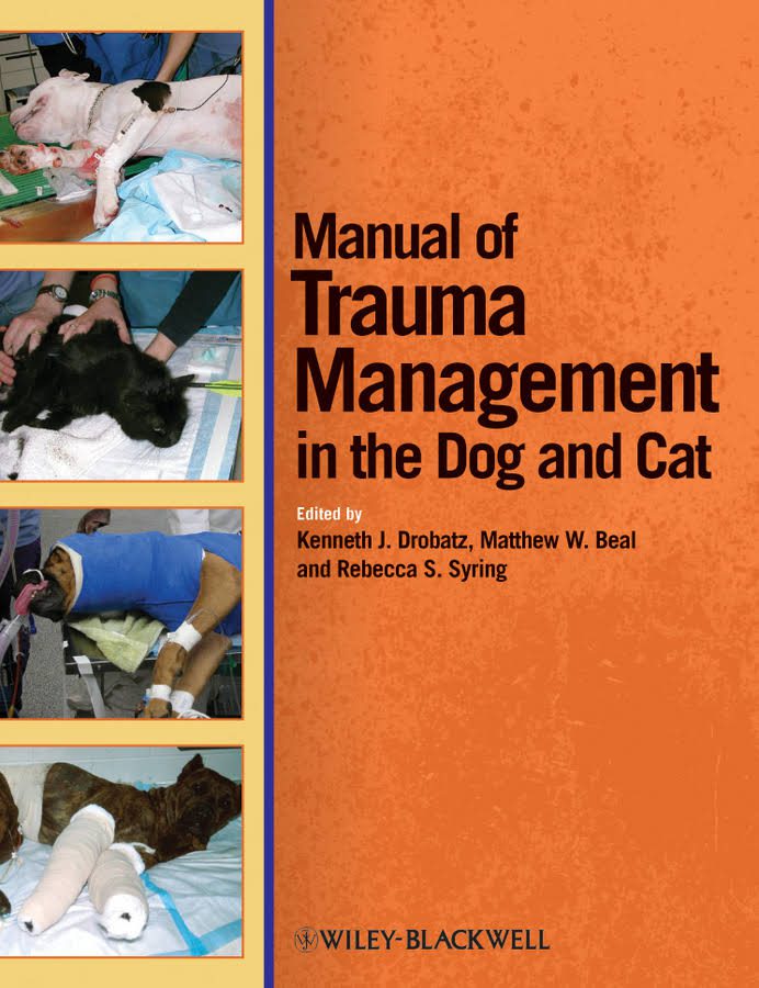 signs of internal trauma in dogs