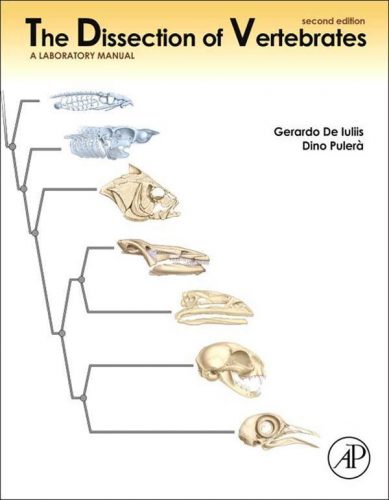 The Dissection of Vertebrates, 2nd Edition | VetBooks