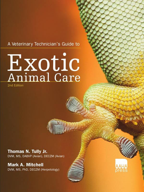 A Veterinary Technician's Guide to Exotic Animal Care, 2nd Edition |  VetBooks