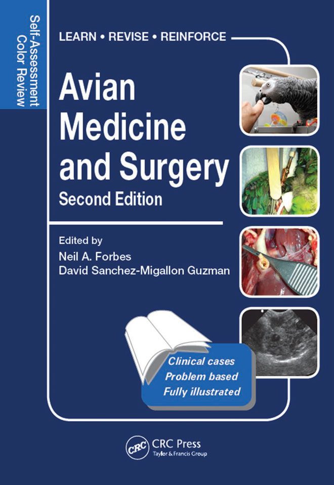 surgery review illustrated 2nd edition free download