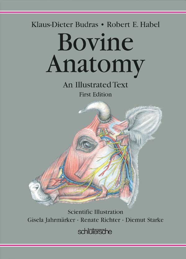 mammal anatomy an illustrated guide download