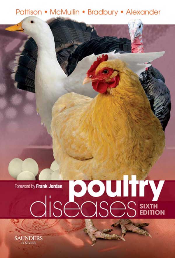 Chicken Diseases 