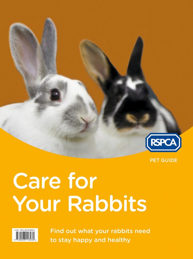 Pets guide. Кролик пдф. Текст на английском про RSPCA.