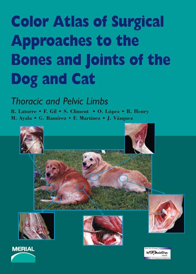 surgical approaches to the bone and join