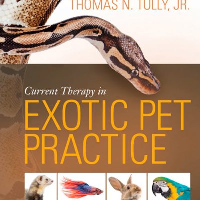 Behavior of Exotic Pets | VetBooks