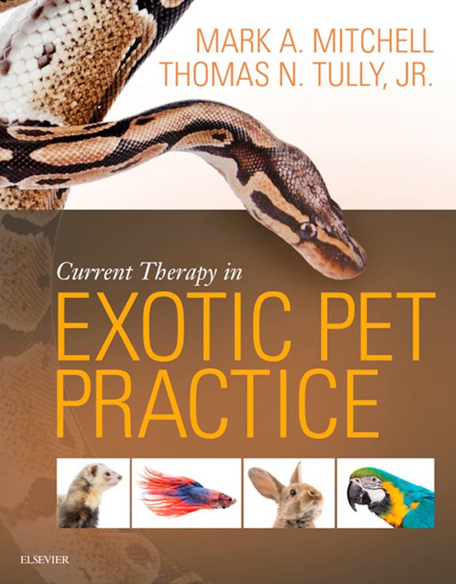 Экзотические книги. Обложка книг с экзотическими животными. Book exotic Pet. BSAVA manual OFEXOTIC mammals.